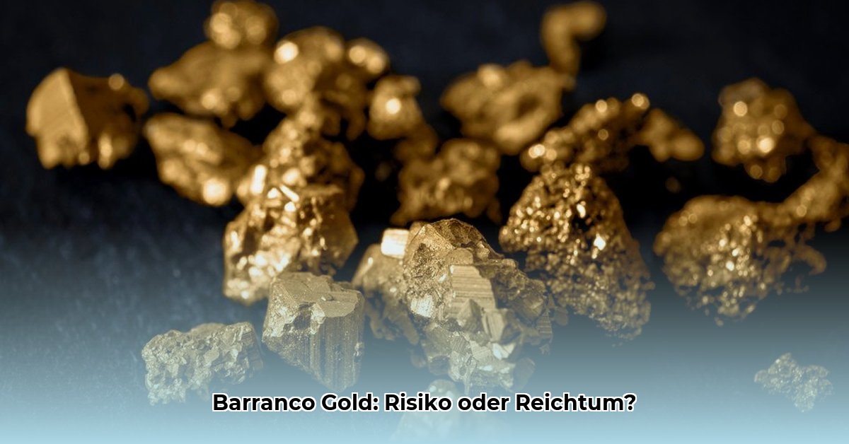 barranco-gold-aktie